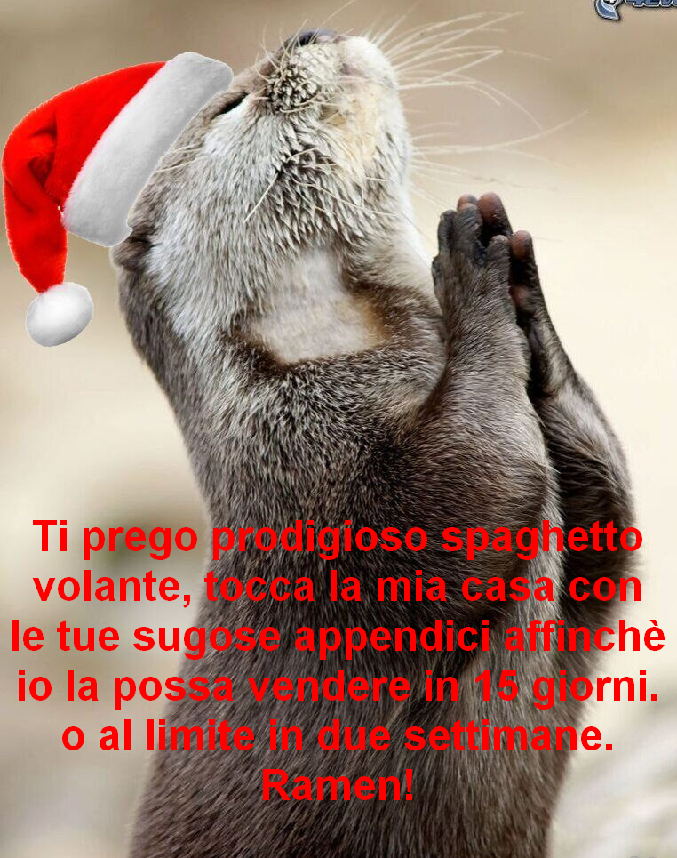 1670969148562.png