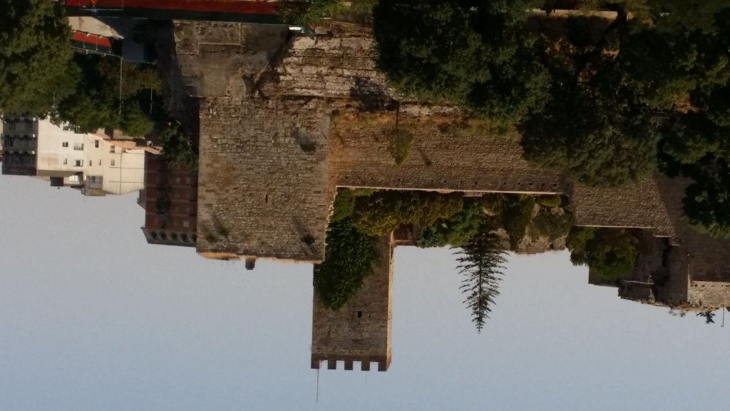 20140814_110443.jpg