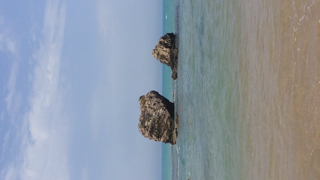 20140821_114955.jpg