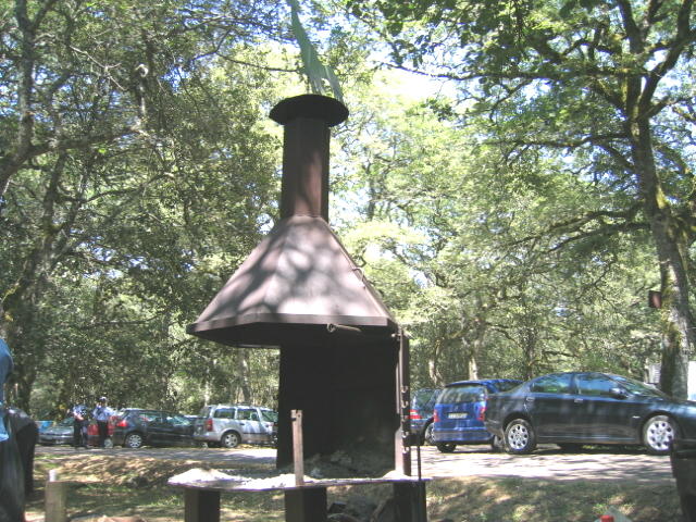 65.JPG