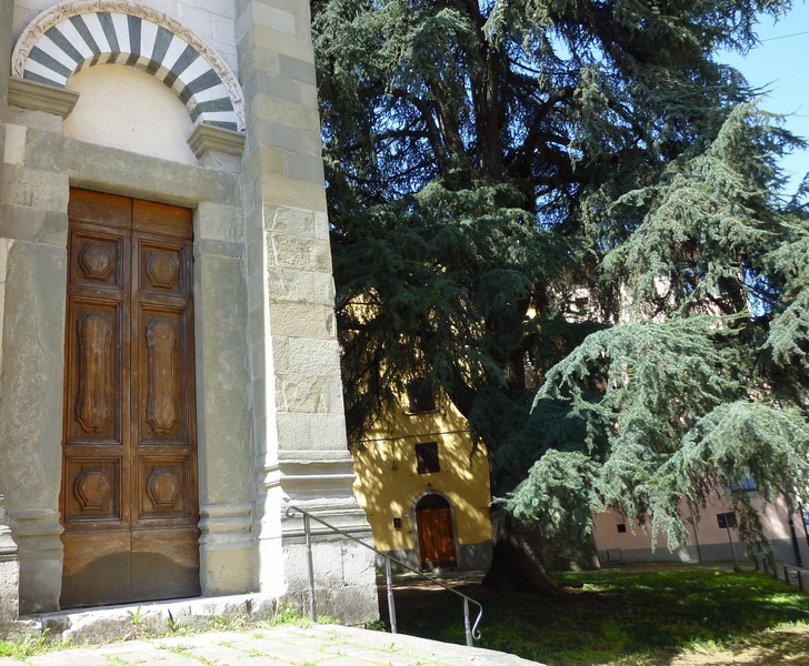antonio troise PISTOIA 3.jpg