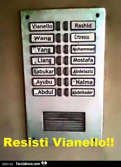 be7qyfmy87-resisti-vianello-resisti-o-ti-faranno-lo-sfratto-ahahhahah_b.jpg