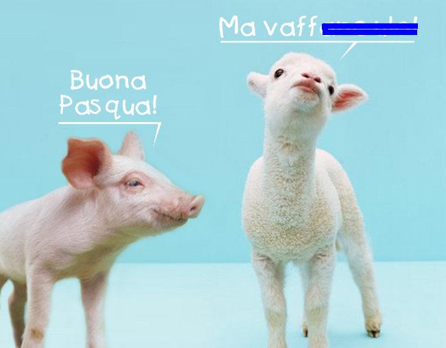 buona_pasqua.jpg