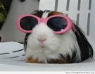 C__Data_Users_DefApps_AppData_INTERNETEXPLORER_Temp_Saved Images_images57Q07S98.jpg