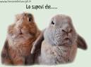 C__Data_Users_DefApps_AppData_INTERNETEXPLORER_Temp_Saved Images_images8985GH2P.jpg