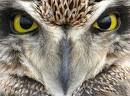 C__Data_Users_DefApps_AppData_INTERNETEXPLORER_Temp_Saved Images_images8Q2YXWPM.jpg
