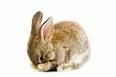 C__Data_Users_DefApps_AppData_INTERNETEXPLORER_Temp_Saved Images_imagesLS93F8JM.jpg