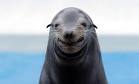 C__Data_Users_DefApps_AppData_INTERNETEXPLORER_Temp_Saved Images_imagesP9MDOPT8.jpg