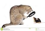 C__Data_Users_DefApps_AppData_INTERNETEXPLORER_Temp_Saved Images_imagesPXYCGONP.jpg