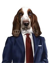 Cane 10.jpg