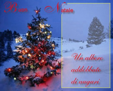 cardxmas11.jpg