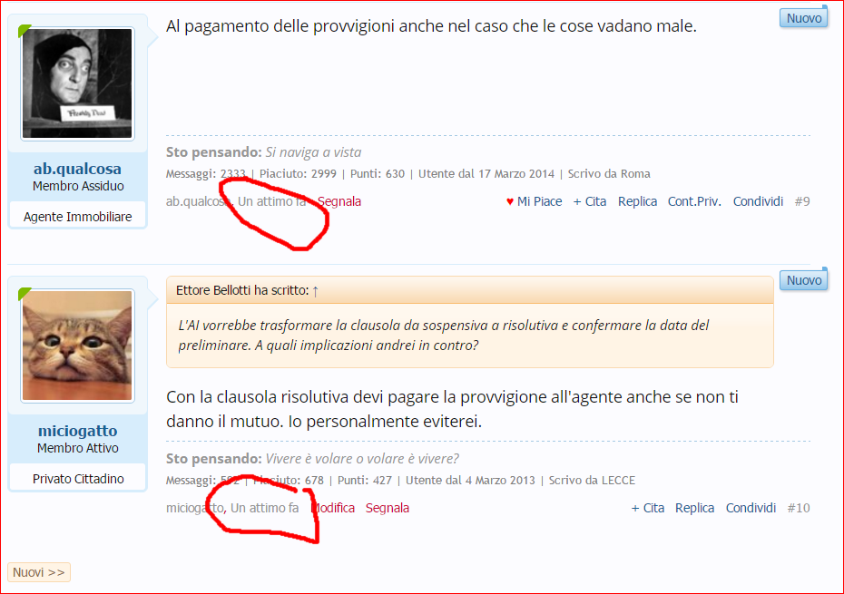 Cattura.PNG