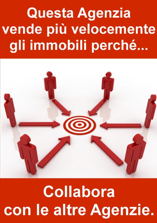 Collaborazione.jpg