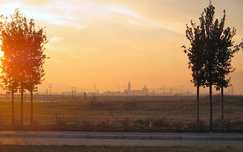 d446.JPG