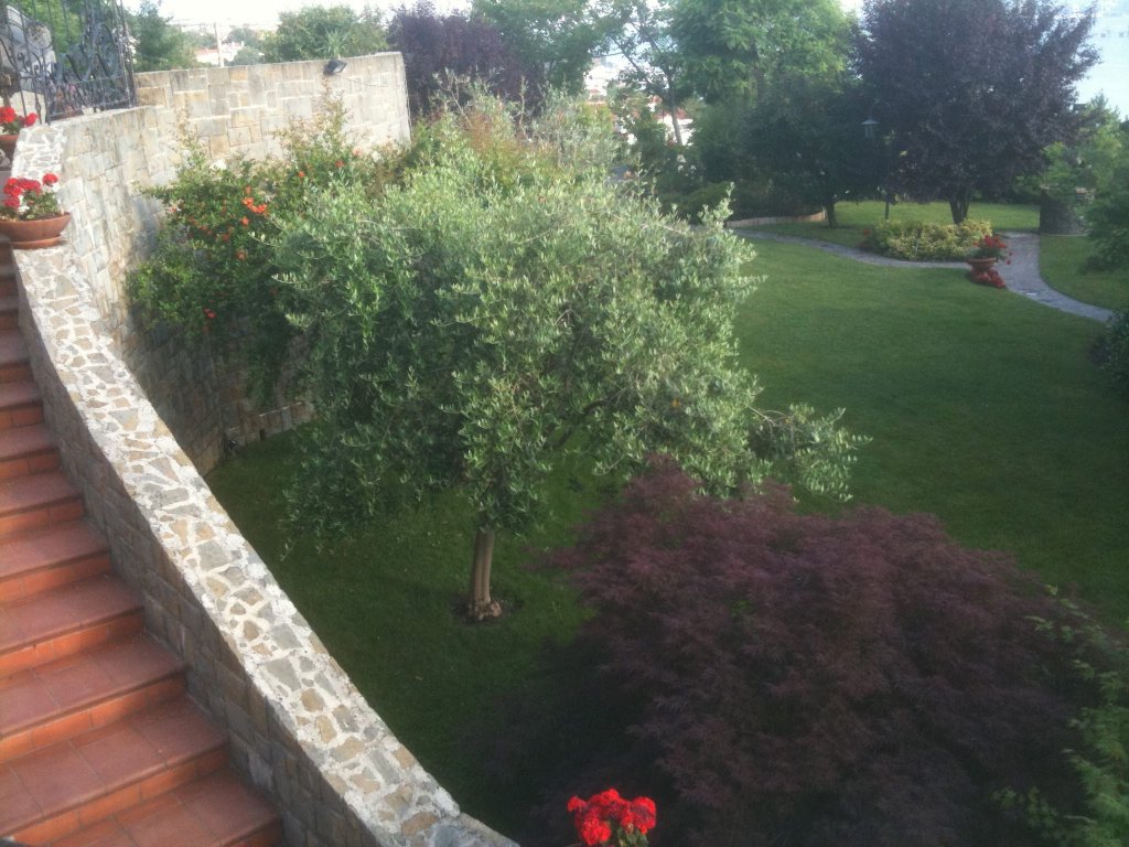 Fotografia (4).jpg