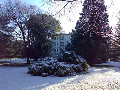 giardino sud.jpg