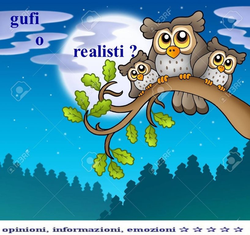 gufi.jpg
