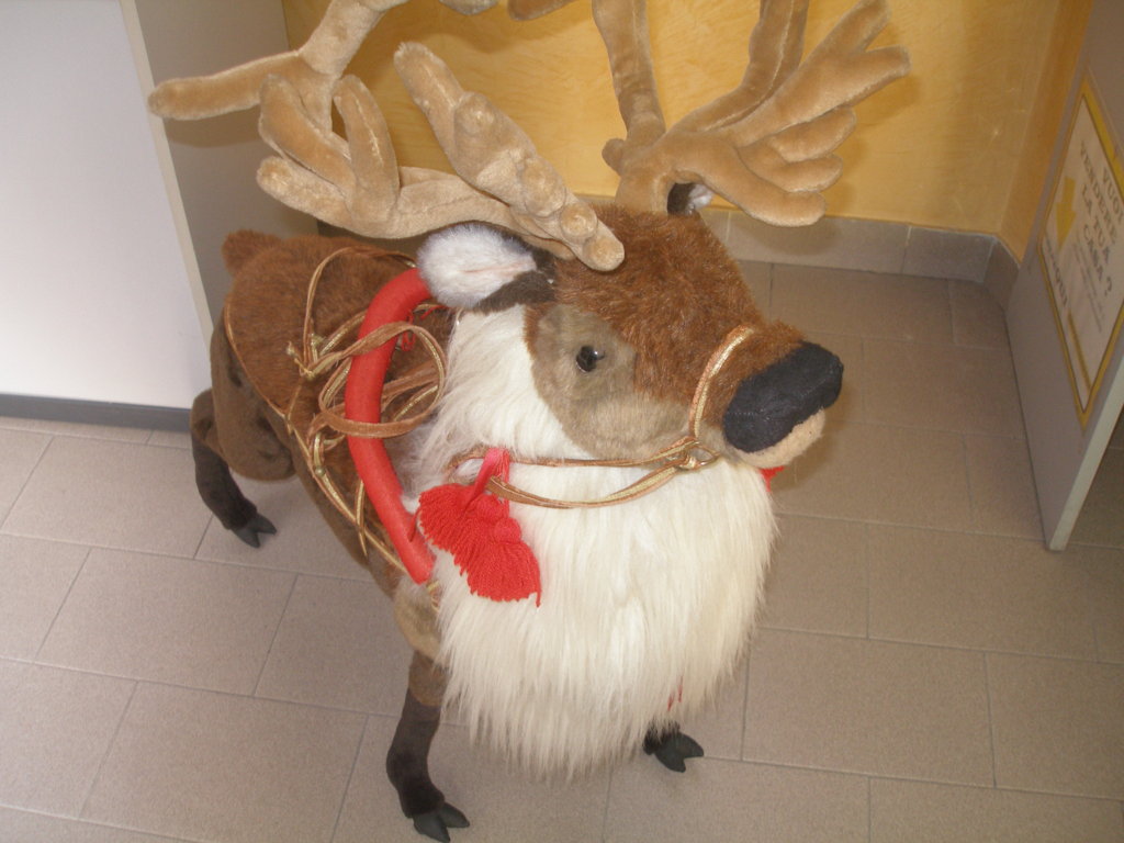Immagine 069.jpg