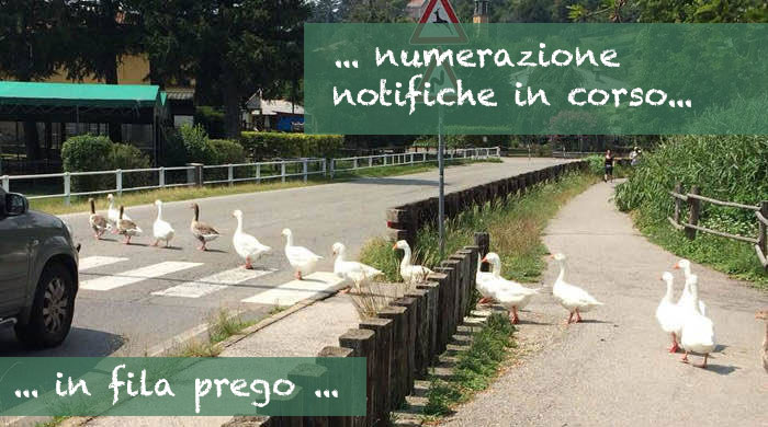 infila.jpg