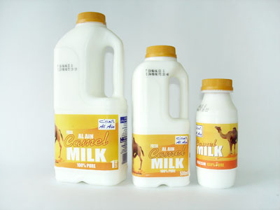 latte-di-cammello.jpg