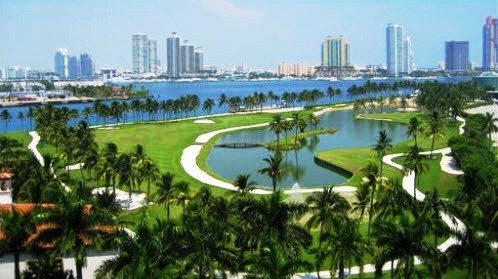 miami16.jpg