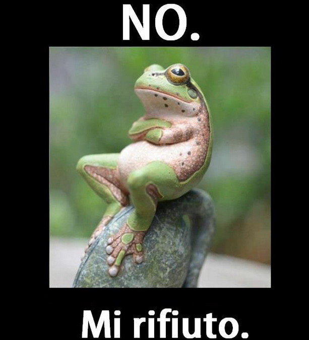 no.png