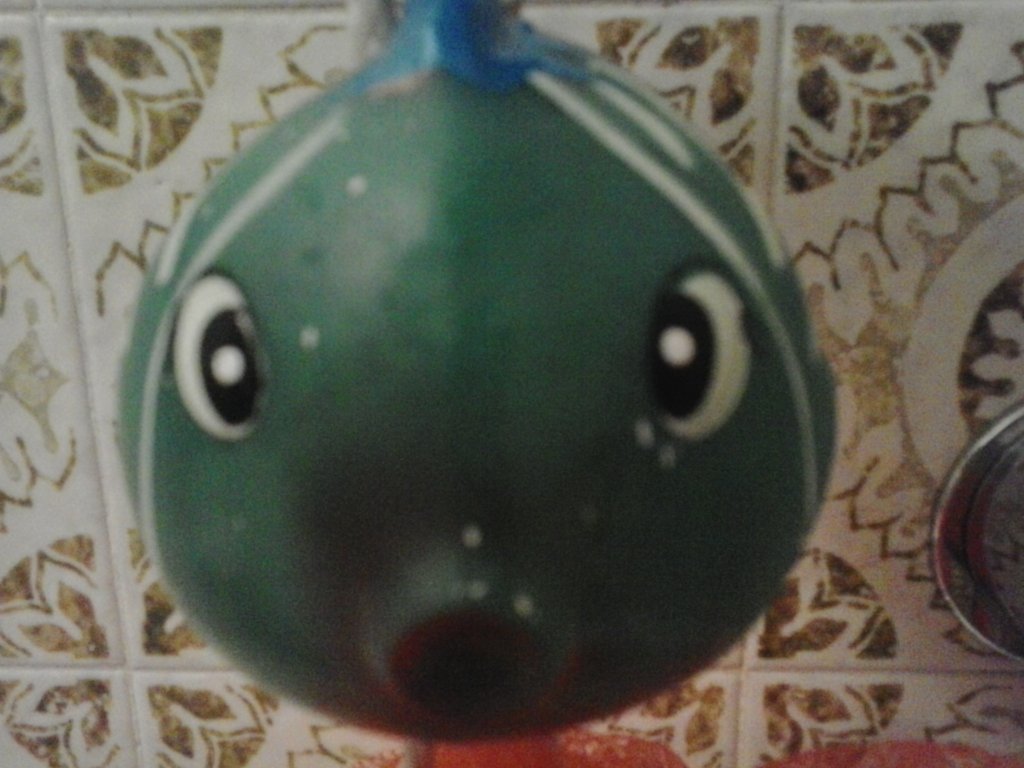 Pesce.jpg