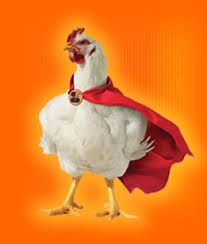 pollo1.jpg
