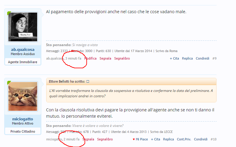 primo.png
