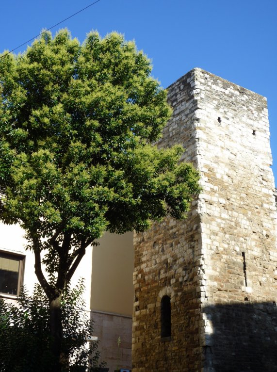 vendere e comprare casa a pistoia con antonio troise 5588.jpg