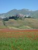 castelluccio 4.jpg