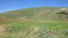 castelluccio 2.jpg
