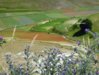 castelluccio 6.jpg