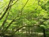 100_0094.jpg