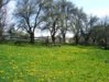 100_0071.jpg