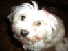 DSCN0237.jpg