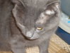 DSCN0074.jpg