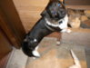 DSCN0243.jpg
