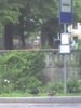 09-05-09_1008.jpg
