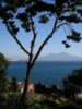 napoli.jpg