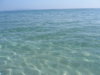 IMG_0005.JPG