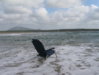 SEDIA NEL MARE AGITATO.jpg