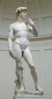 314px-David_von_Michelangelo.jpg