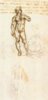 287px-Leonardo_da_vinci,_Study_of_David_by_Michelangelo_(detail).jpg