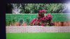 IMG-20150820-WA0001.jpeg