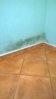 WP_20160201_15_11_16_Pro.jpg