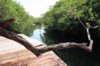 Messico. Tulum 04.jpg
