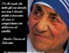 Madre,Teresa.jpg