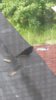 IMG-20170903-WA0000.jpg