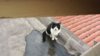 IMG-20170903-WA0003.jpg
